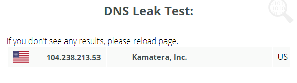 FastestVPN DNS Leak Test US Server