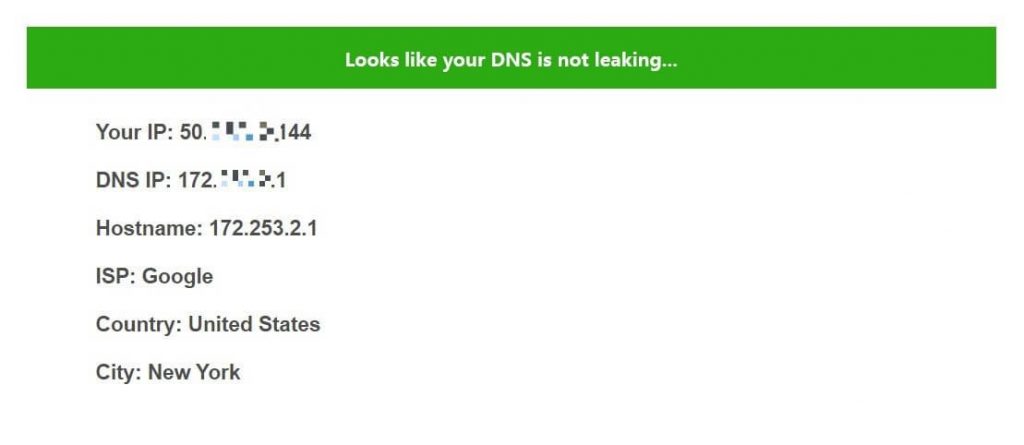 RitaVPN DNS Leak Test US Server