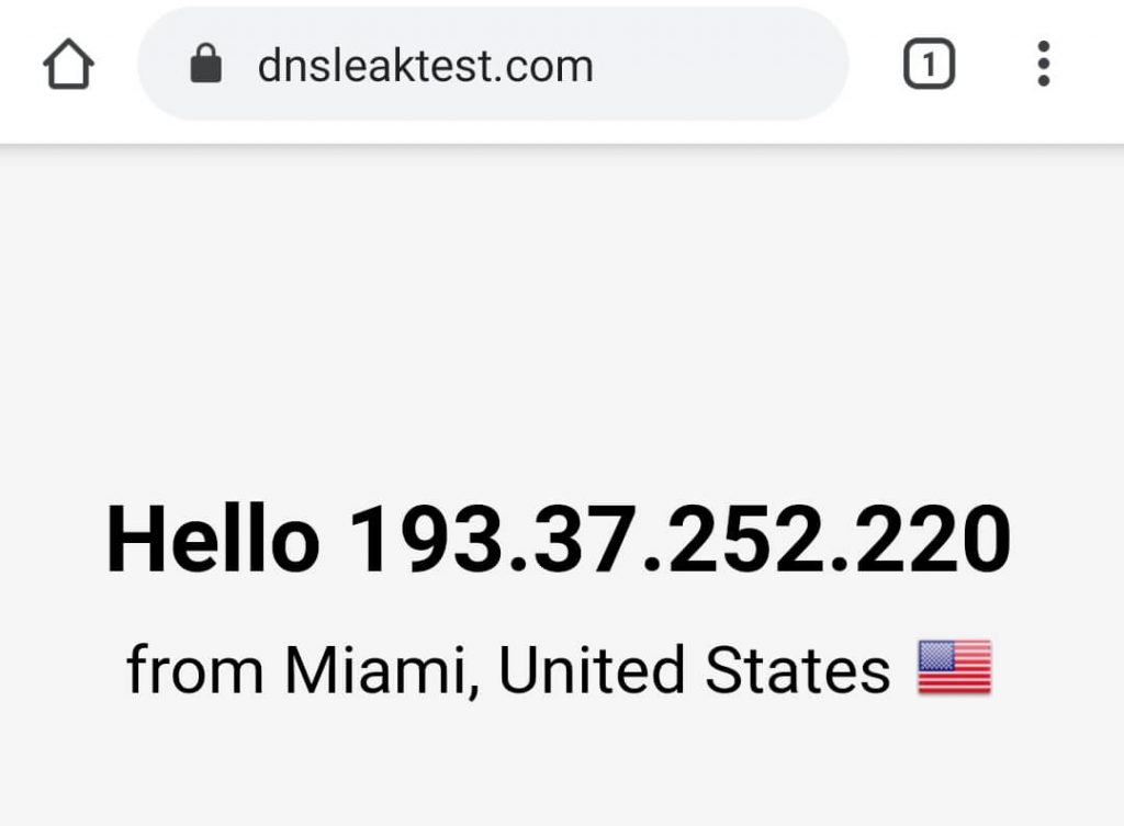 DNS leak test US server