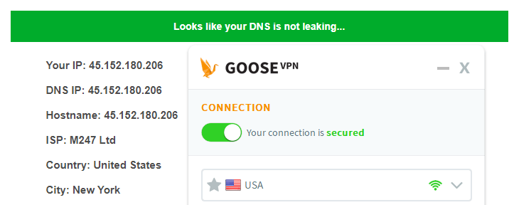 DNS leak test US server Goose VPN