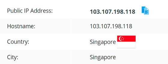 IP leak test Singapore server VeePN