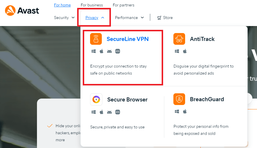 Avast VPN home page