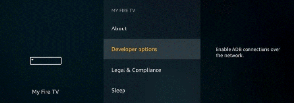 Click on Developer Options