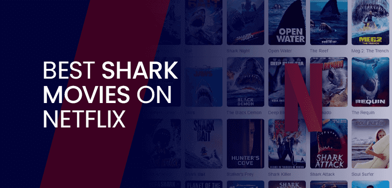 Netflix 上的鲨鱼电影